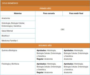 Descubre el currículo completo del CBC de la UBA: todas las materias que debes cursar descubre-el-curriculo-completo-del-cbc-de-la-uba-todas-las-materias-que-debes-cursar